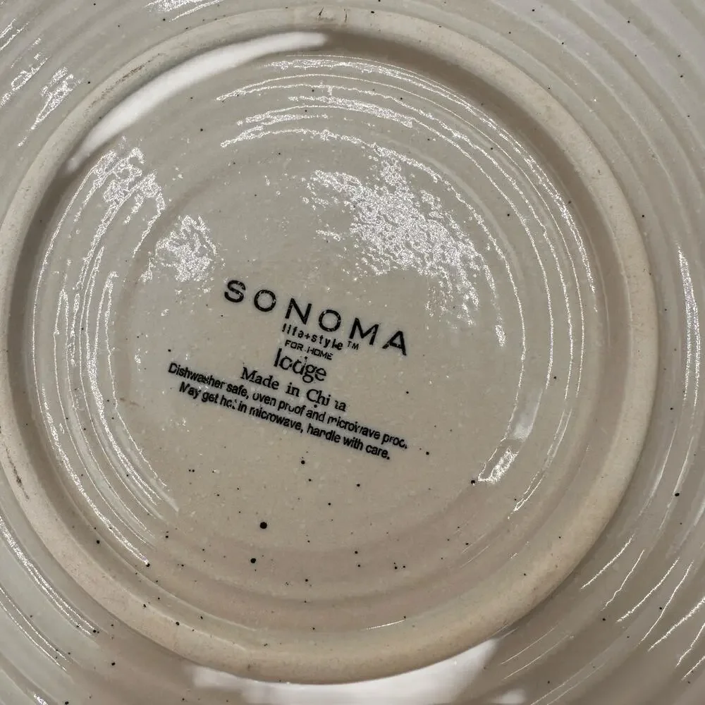 Sonoma Lifestyle Home LODGE Vintage Set of 2 Ceramic Pie Plates